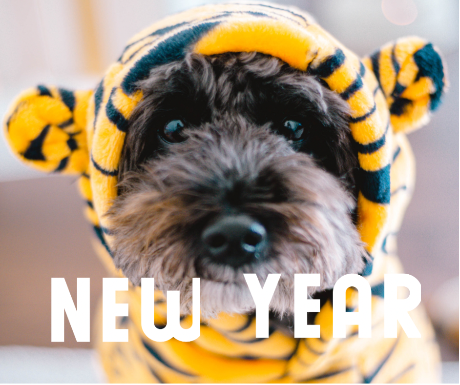 寅年